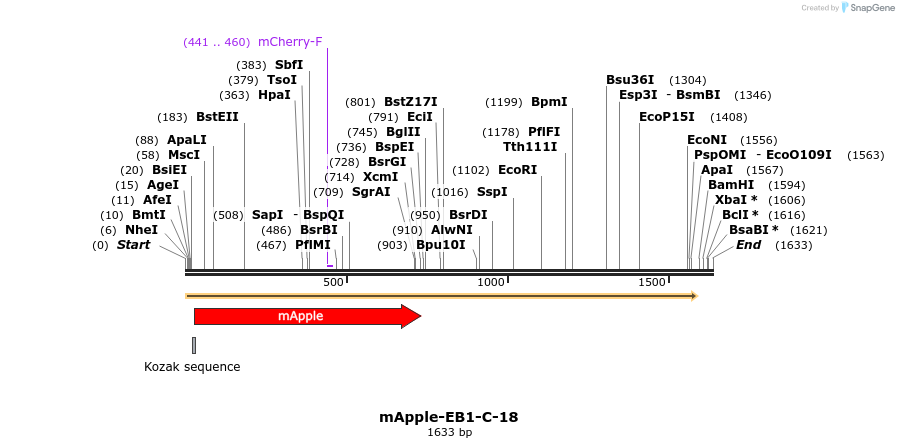 85281_map