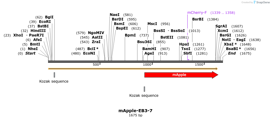 85282_map