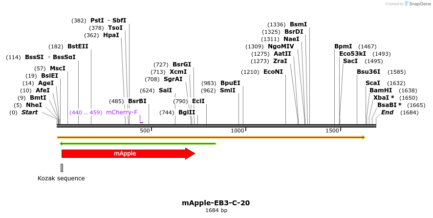 85283_map