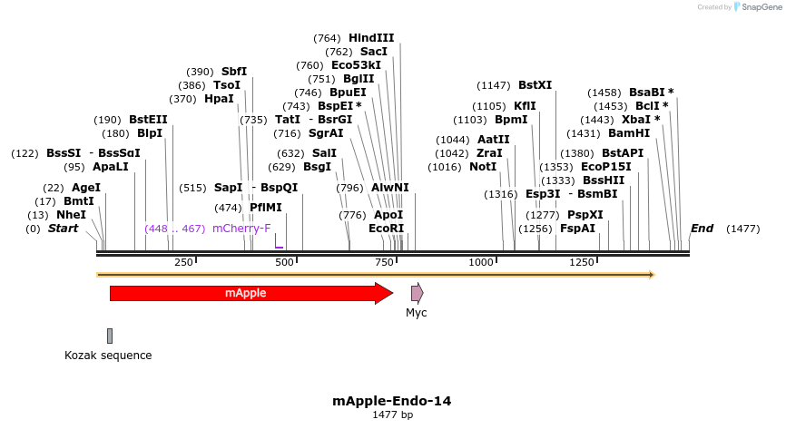 85284_map