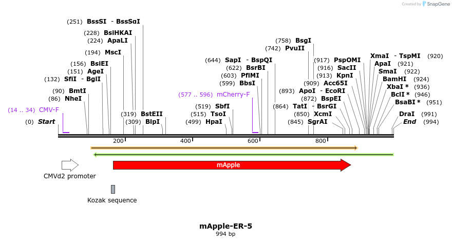 85285_map