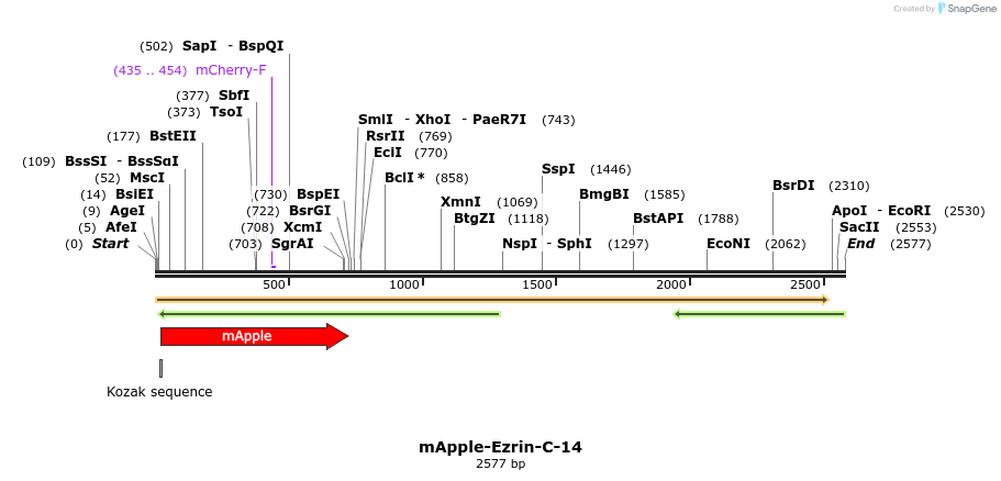 85286_map