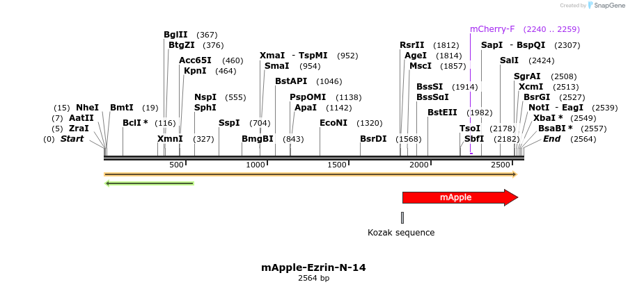 85287_map