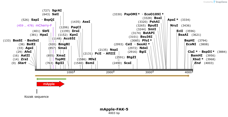 85288_map