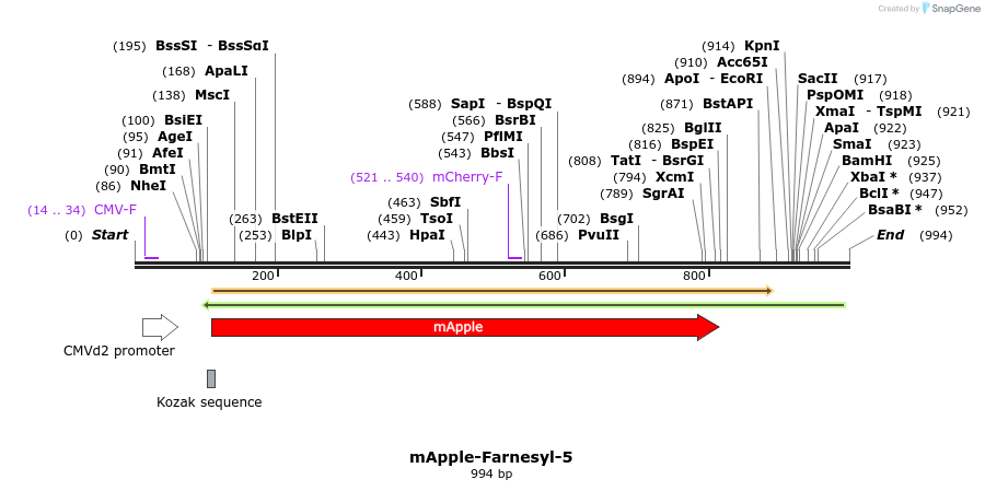 85289_map