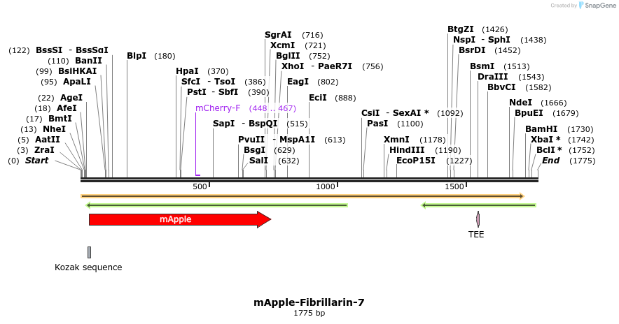 85290_map