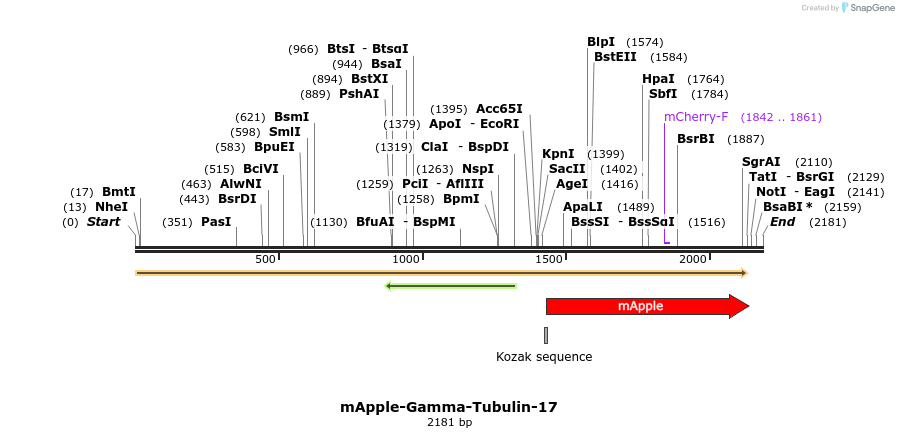 85295_map