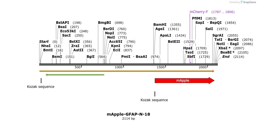 85296_map