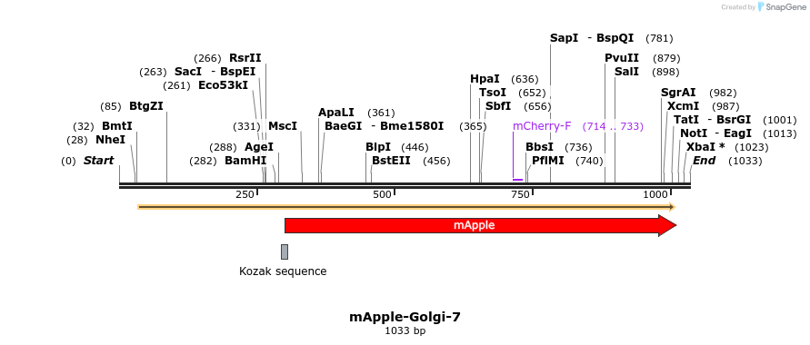 85297_map
