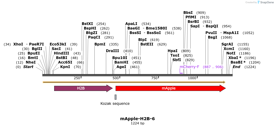 85298_map