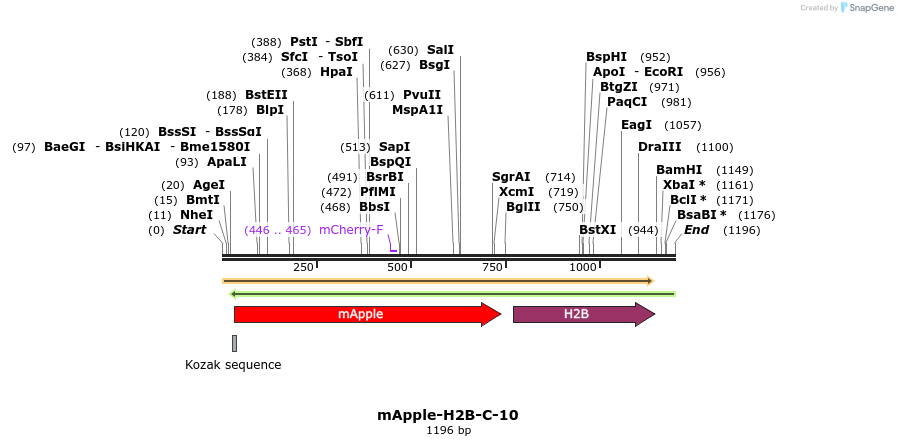 85299_map