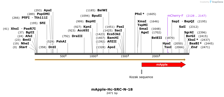 85301_map
