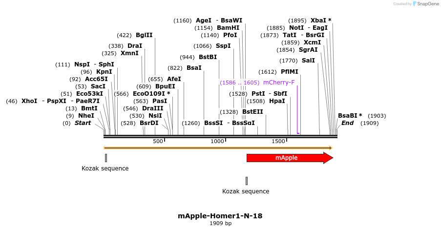 85303_map