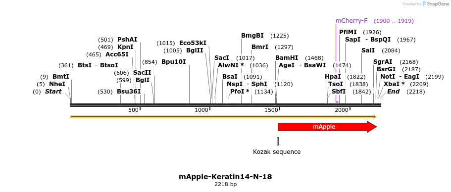 85306_map