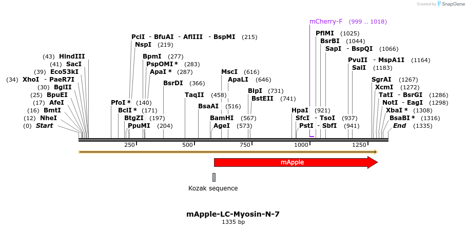 85310_map