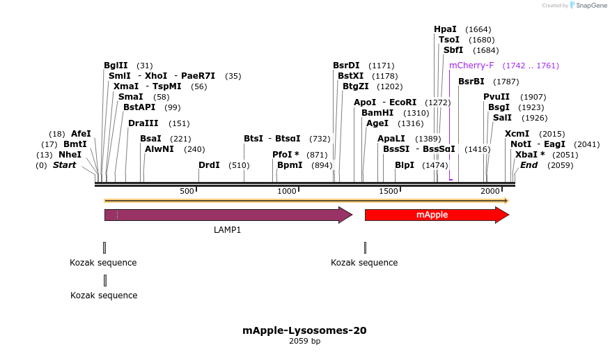 85311_map