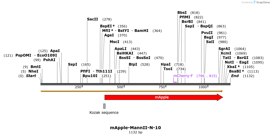 85312_map