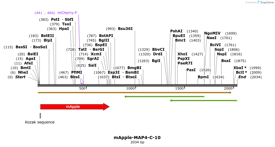 85313_map