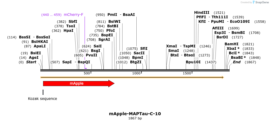 85314_map