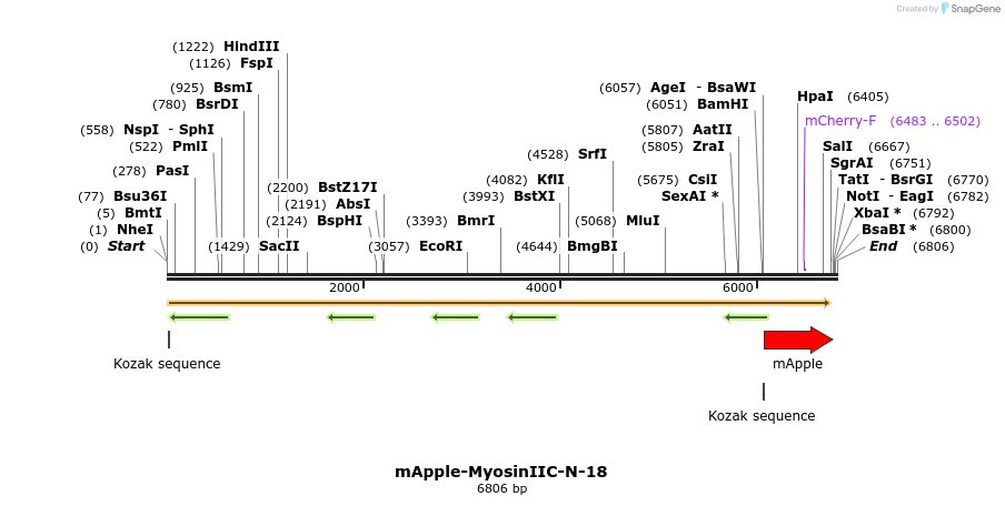 85320_map
