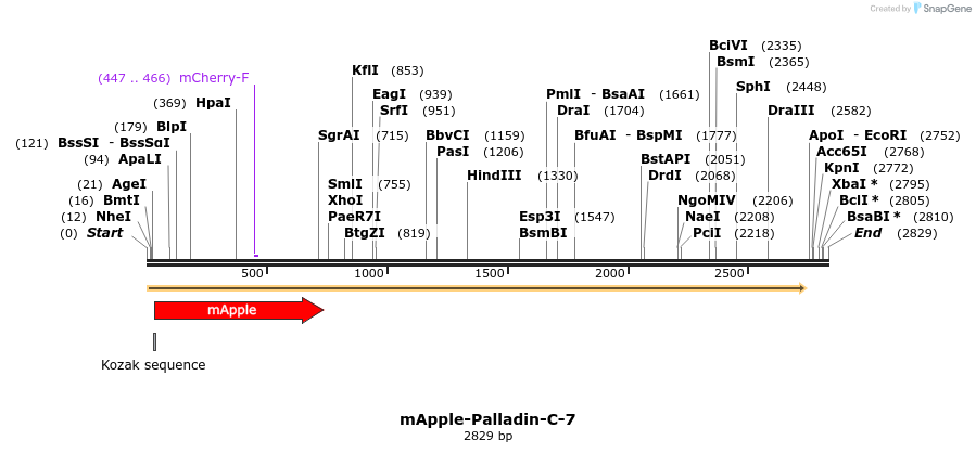 85322_map