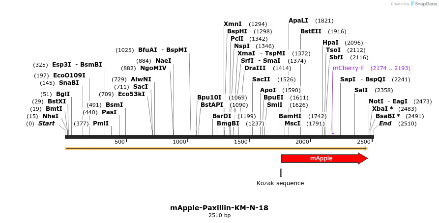 85324_map