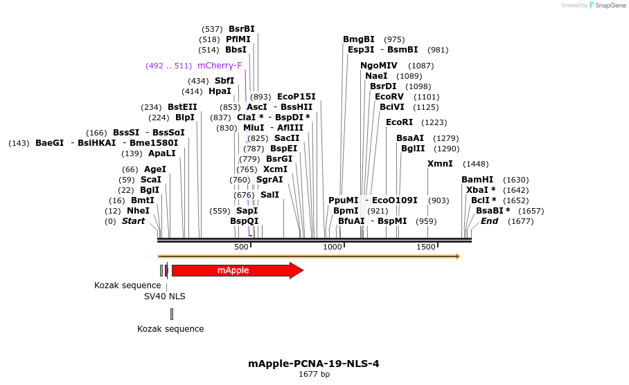 85325_map