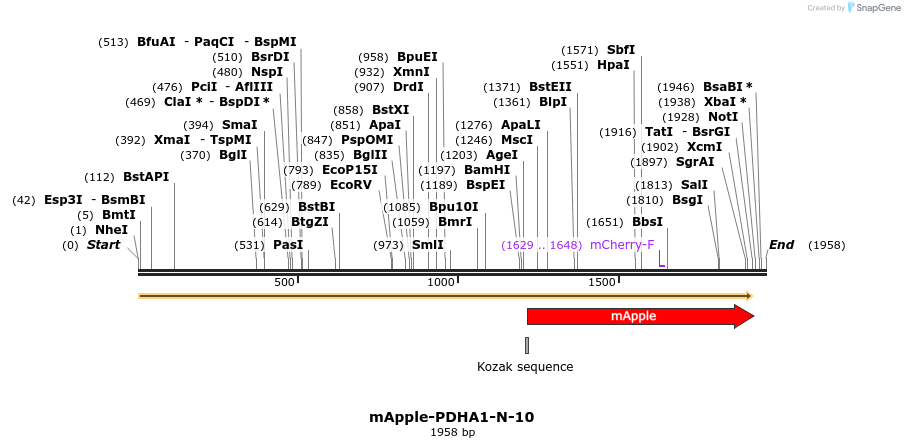 85326_map