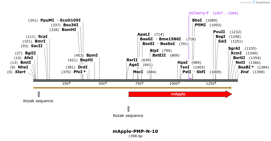 85327_map