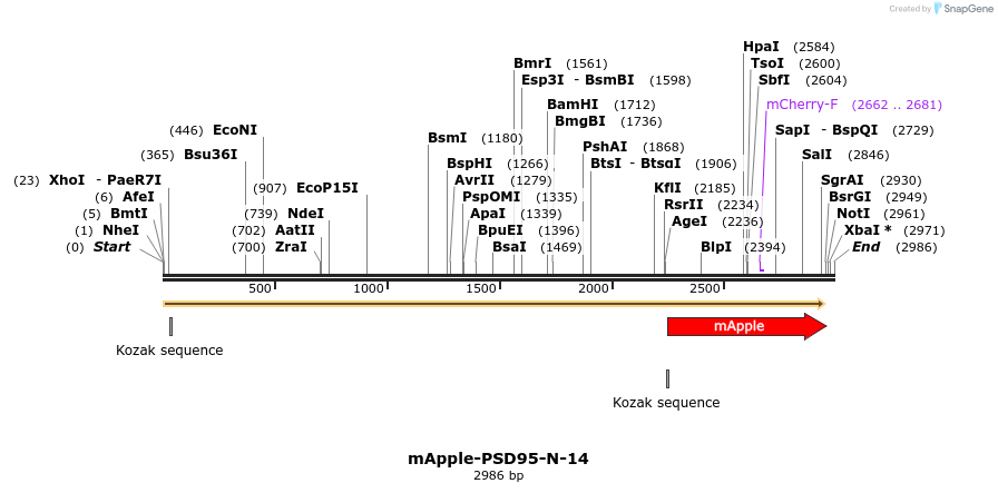 85329_map