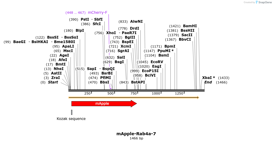 85331_map
