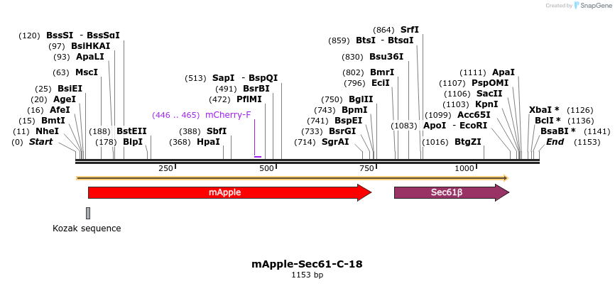 85334_map