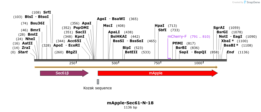 85335_map