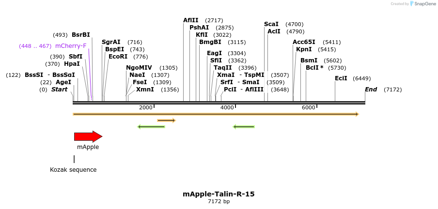 85340_map