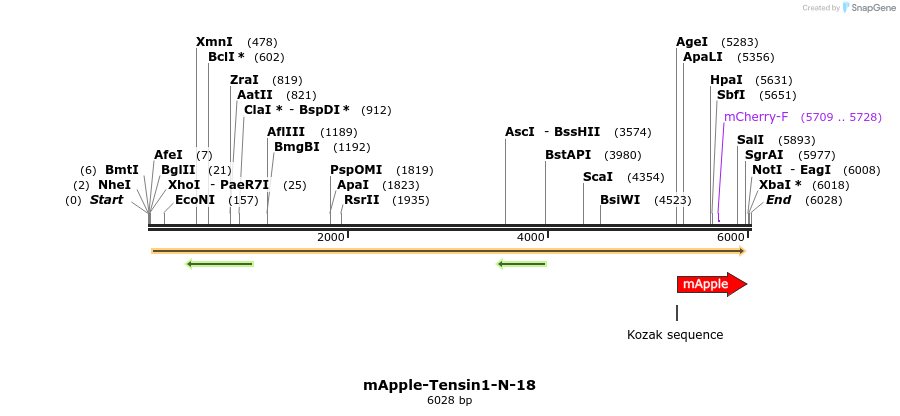 85341_map