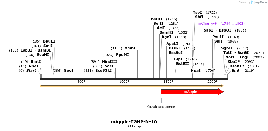 85342_map