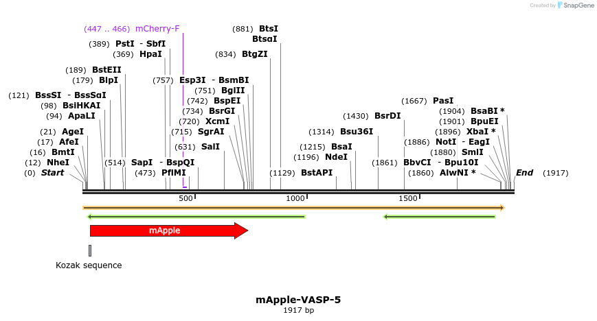 85346_map