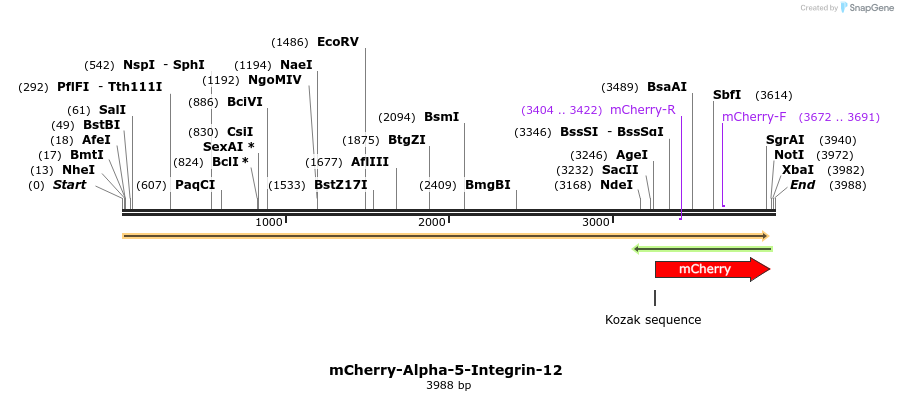 85357_map
