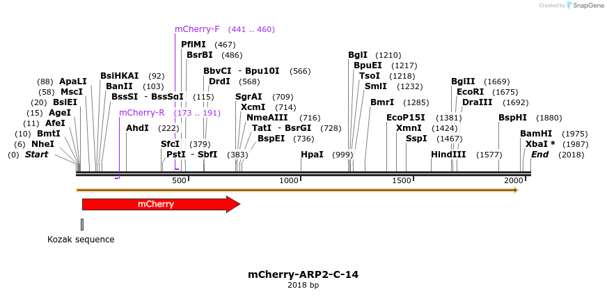 85366_map
