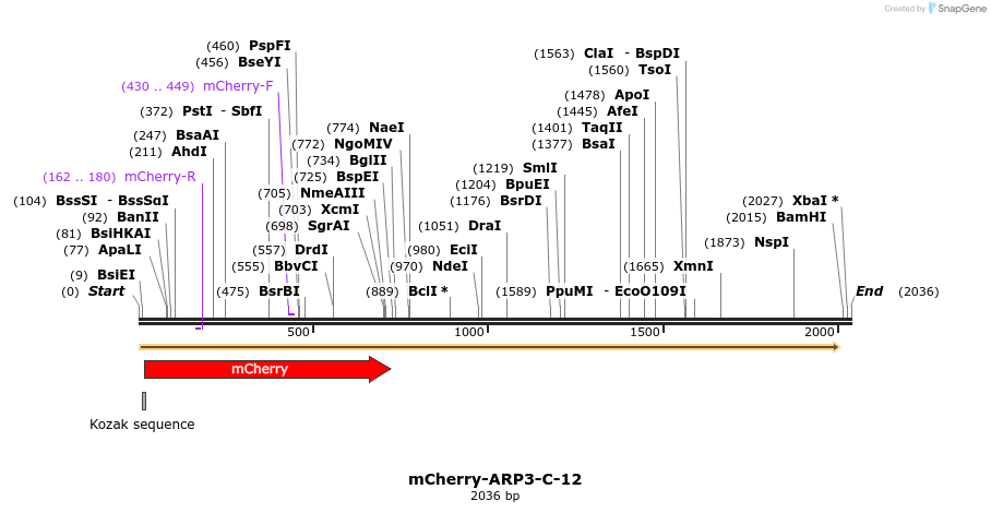 85368_map