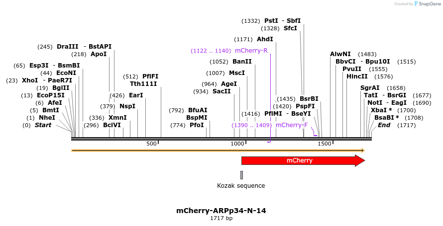 85371_map