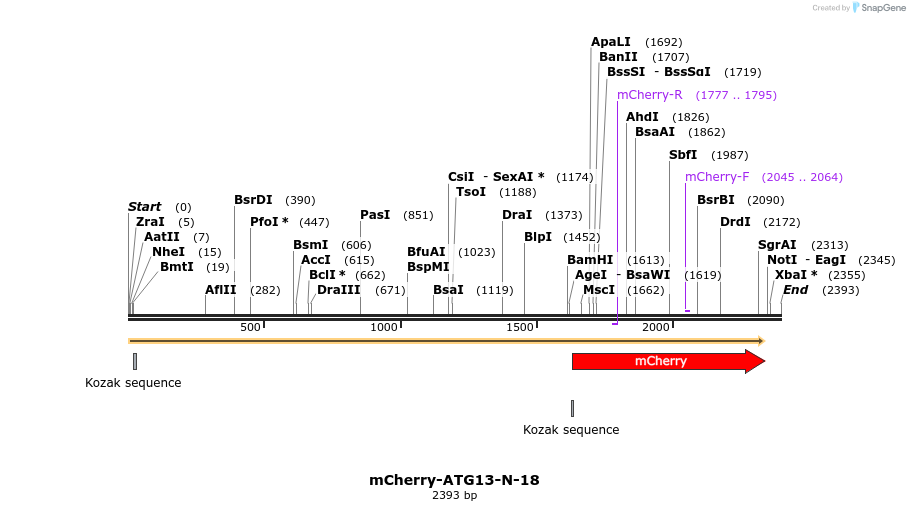 85375_map