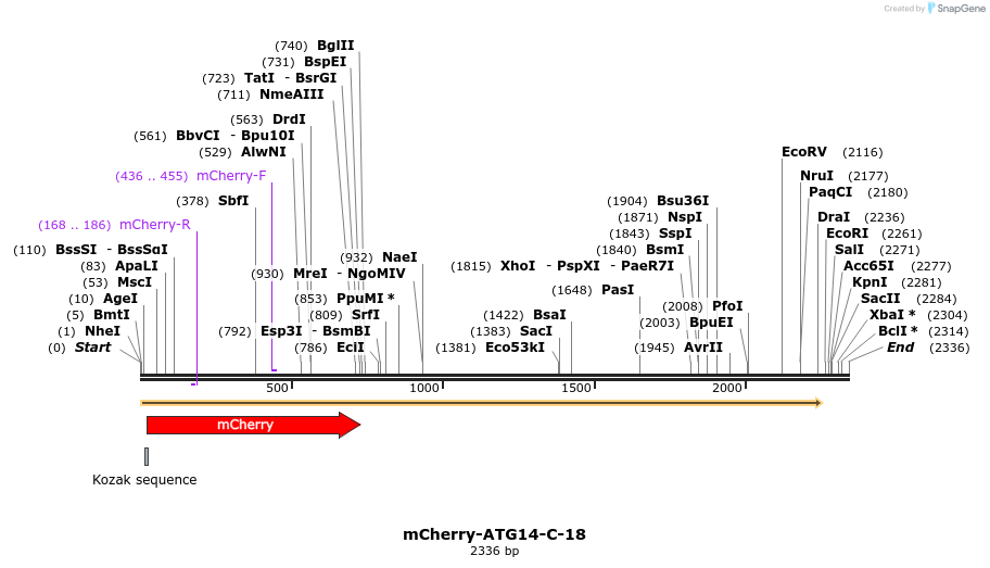 85376_map