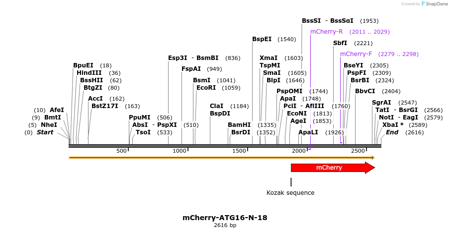 85379_map