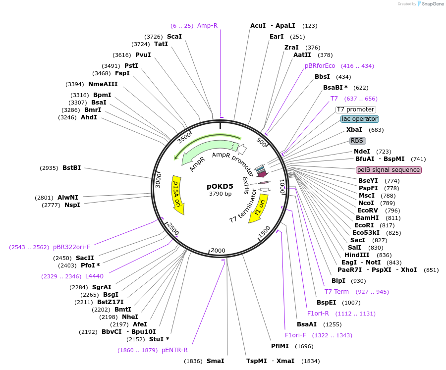 8538_map