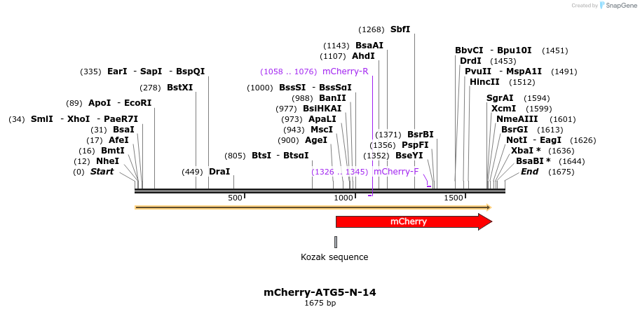 85383_map