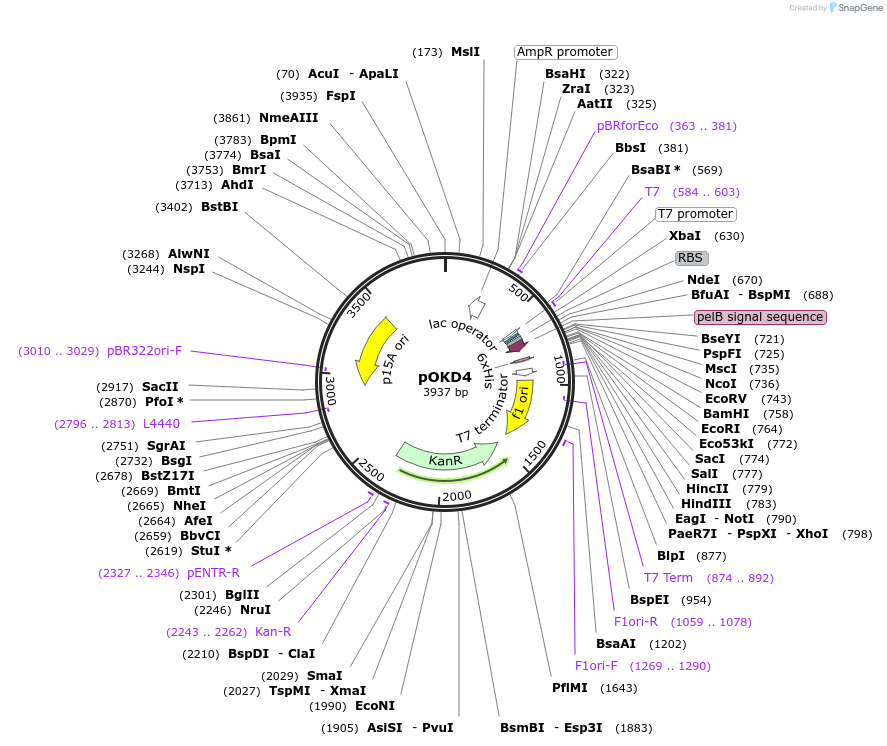 8539_map