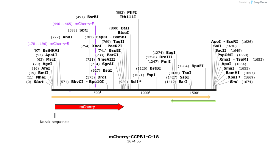 85396_map