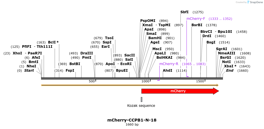 85397_map