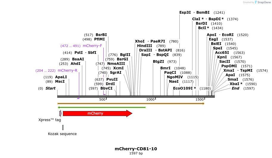 85399_map